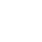 Brain icon 1