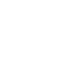 Brain icon 2